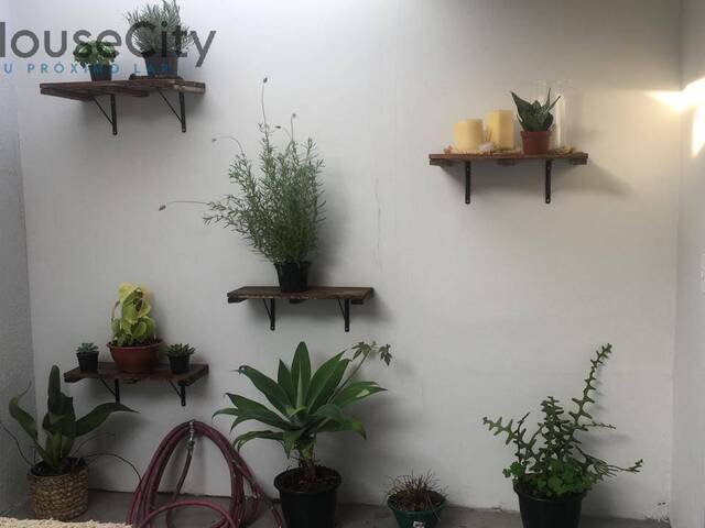 Casa para Venda em São Paulo - 4